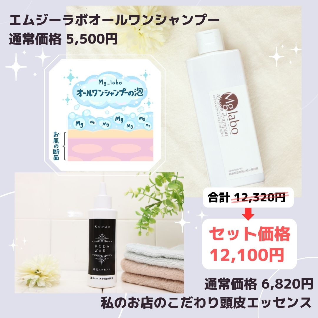 マグネシウム全身用シャンプー 私のお店のこだわり頭皮エッセンス スペシャルセット